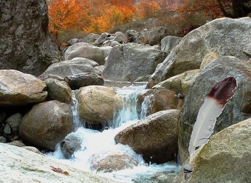 Petite cascade entre les rochers, une plume au premier plan